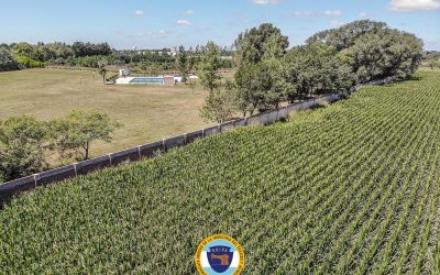 Nuevas Obras Camping